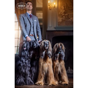 dogmeat-Huhn-Fisch