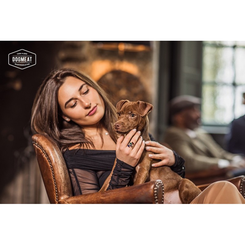 dogmeat-Huhn-Rindfleisch-Kutteln